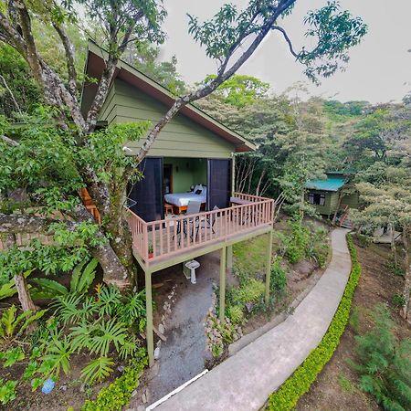 Casas Clusia Lejlighed Monteverde Eksteriør billede