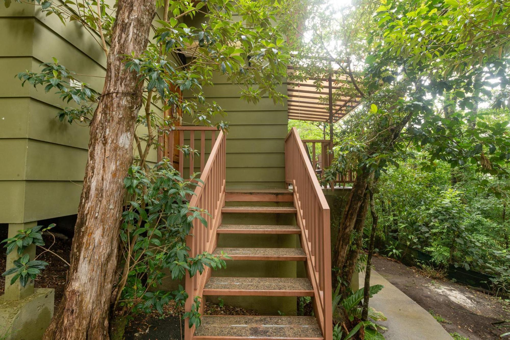 Casas Clusia Lejlighed Monteverde Eksteriør billede