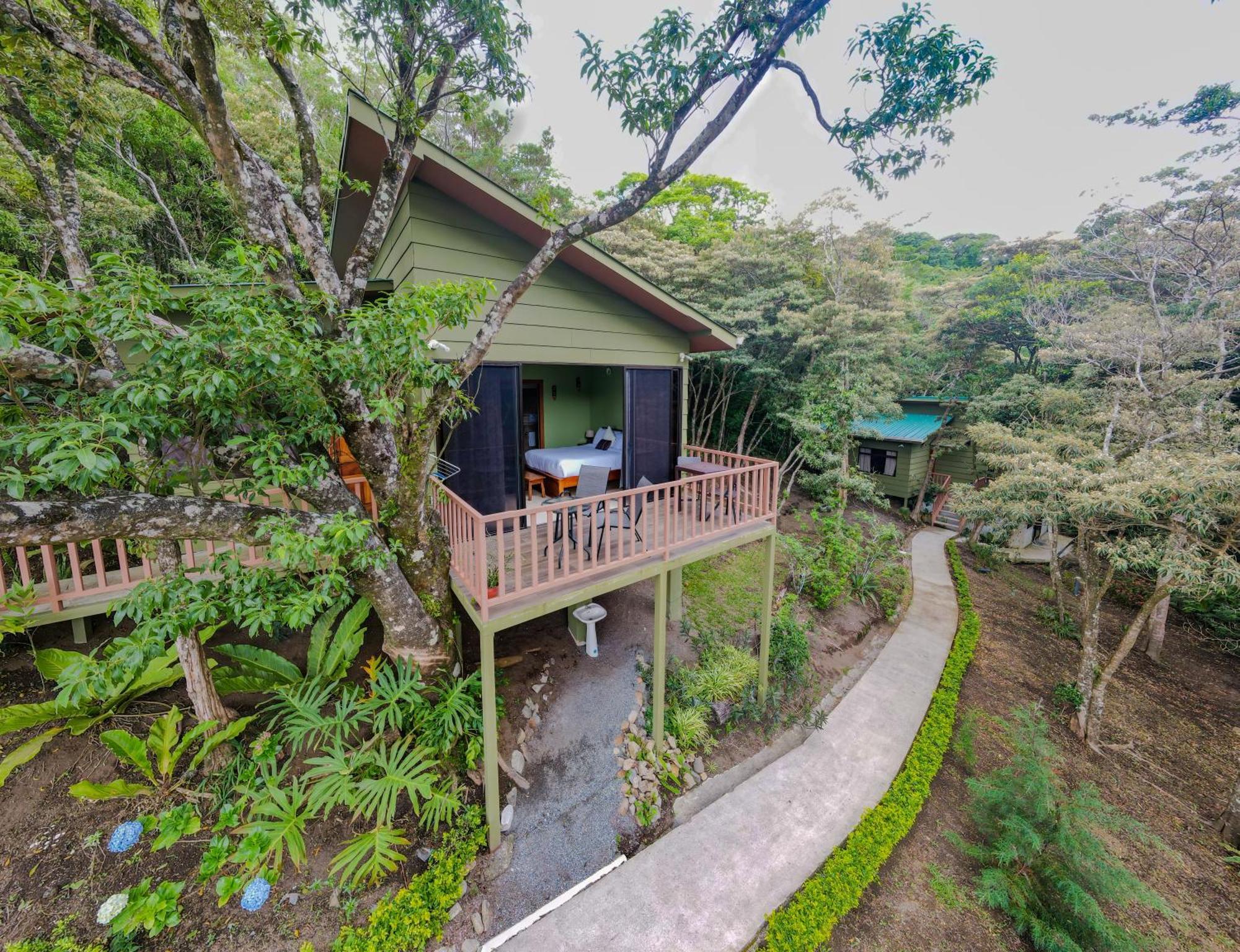 Casas Clusia Lejlighed Monteverde Eksteriør billede